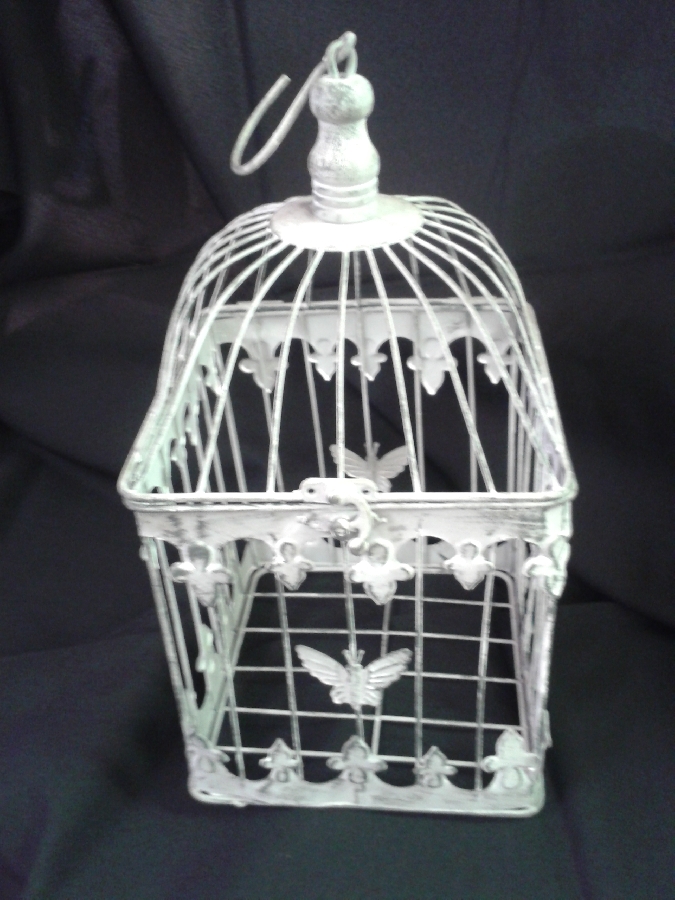 bird-cage--silver--square